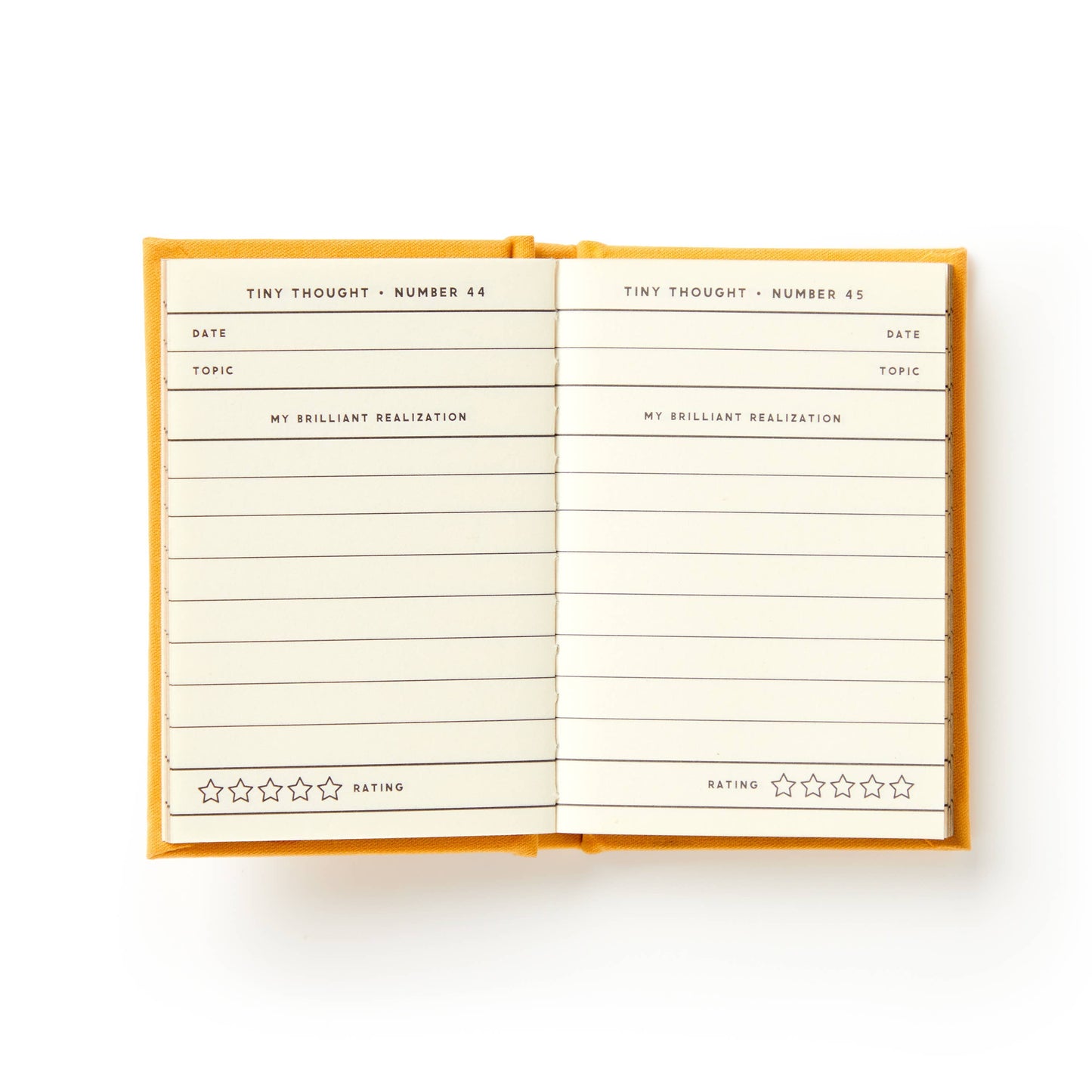 "A Tiny Diary for Tiny Thoughts" by Brass Monkey