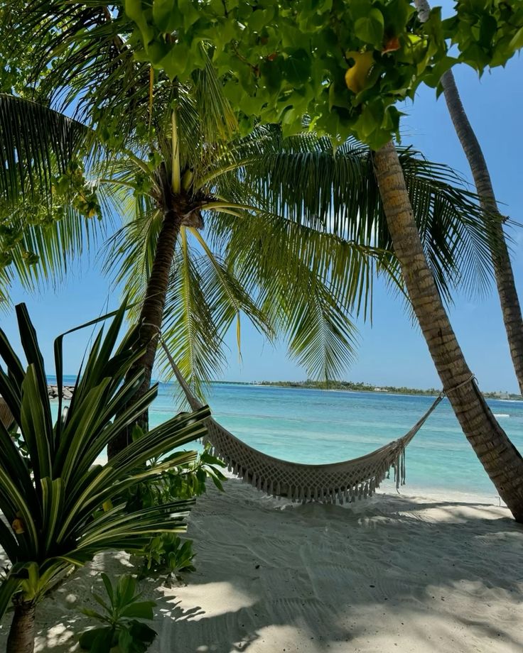 5 Days in the Maldives: The Ultimate Itinerary for Sun-Soaked Soul Searching