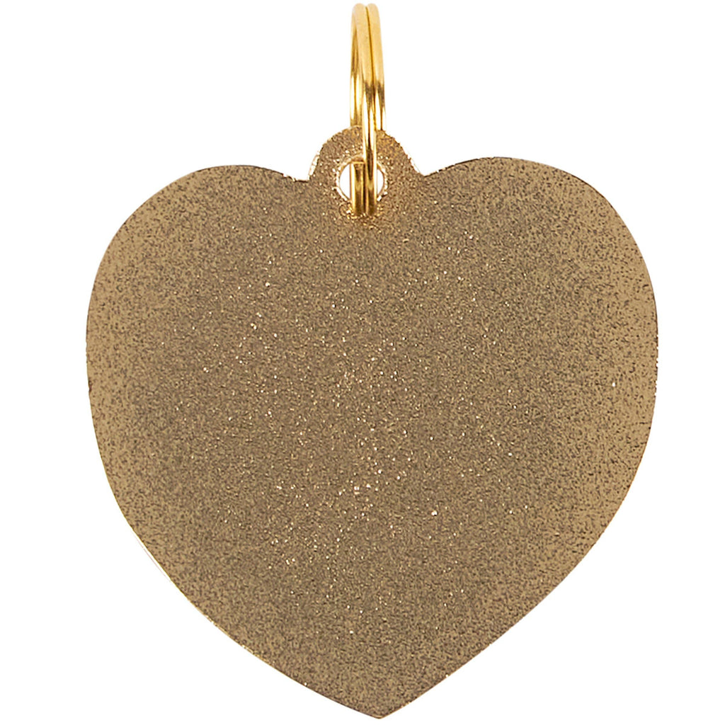 "Lover, Not A Biter" Collar Charm
