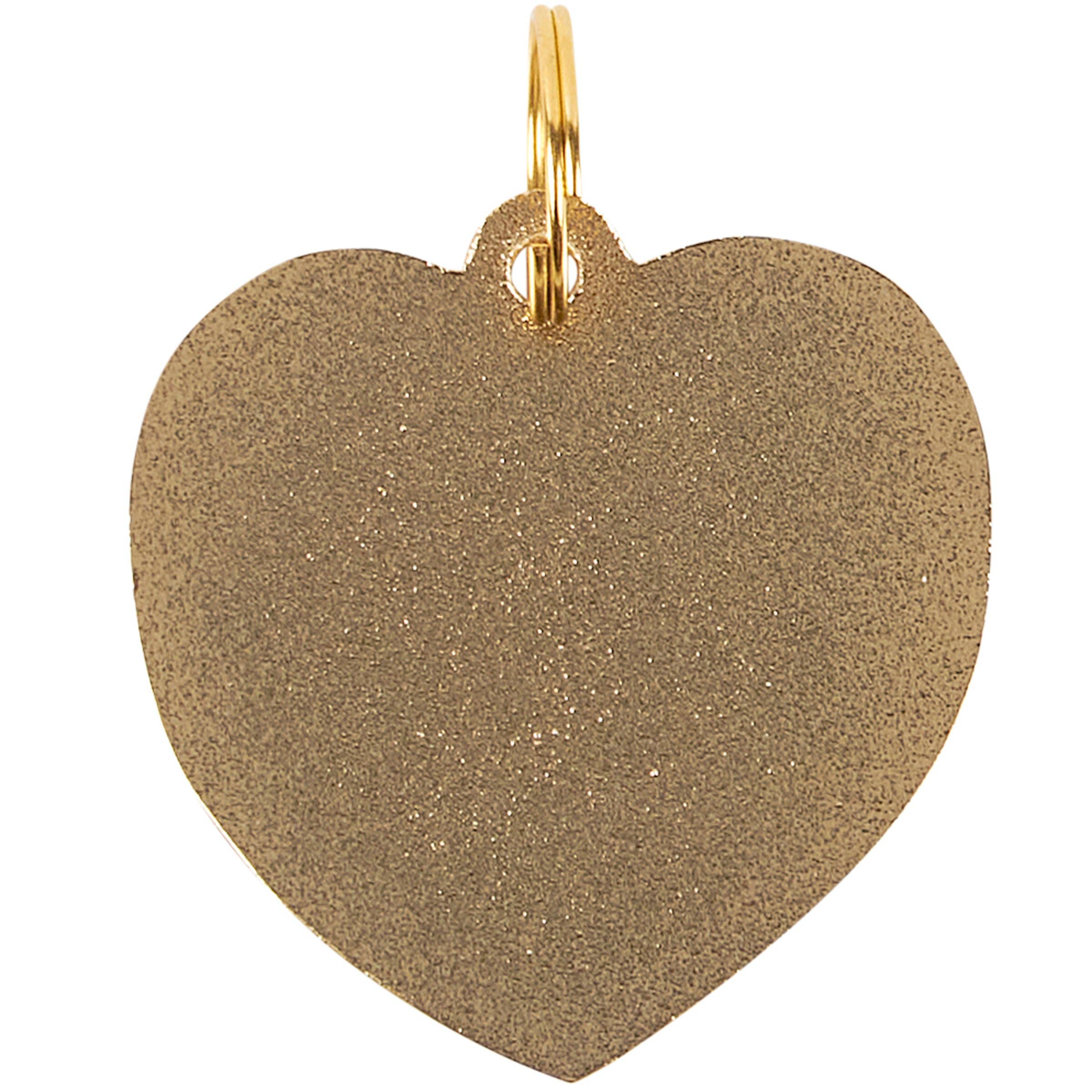 "Lover, Not A Biter" Collar Charm