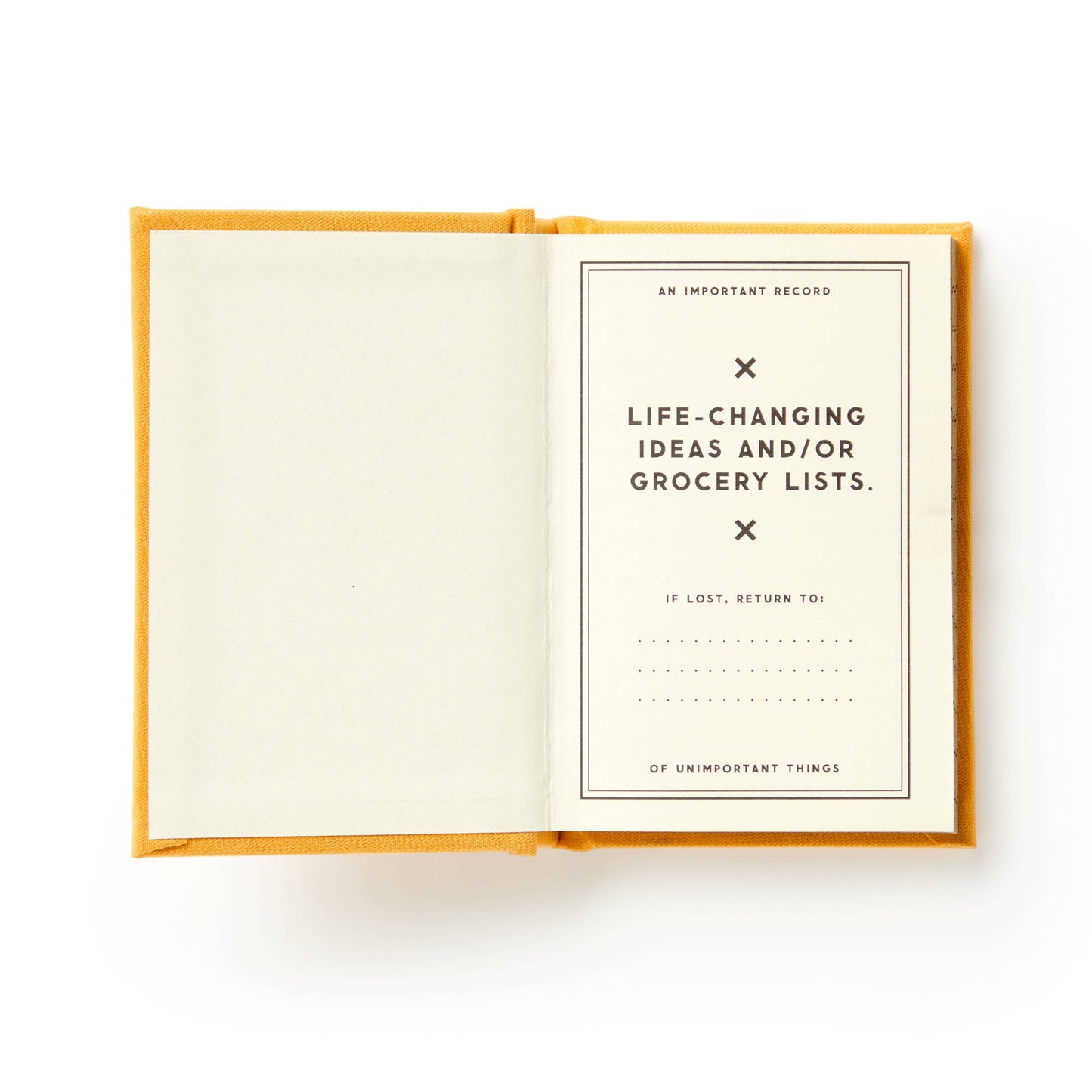 "A Tiny Diary for Tiny Thoughts" by Brass Monkey