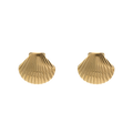 Gold Clamshell Earrings