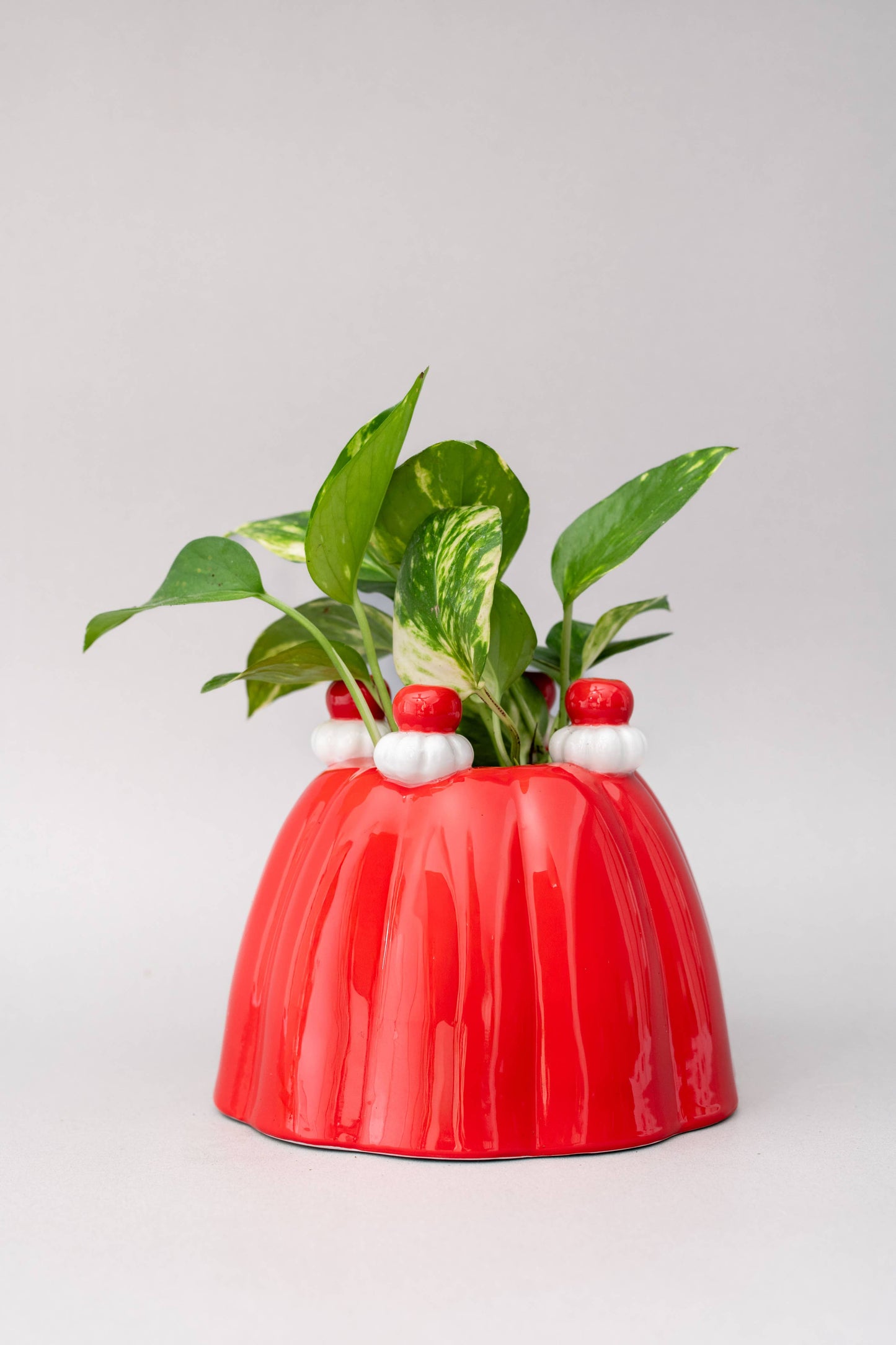 Jello Vase