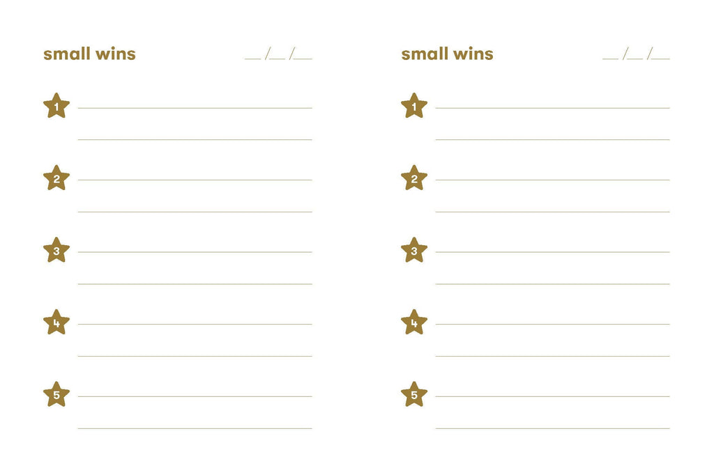 Small Wins Mini Journal