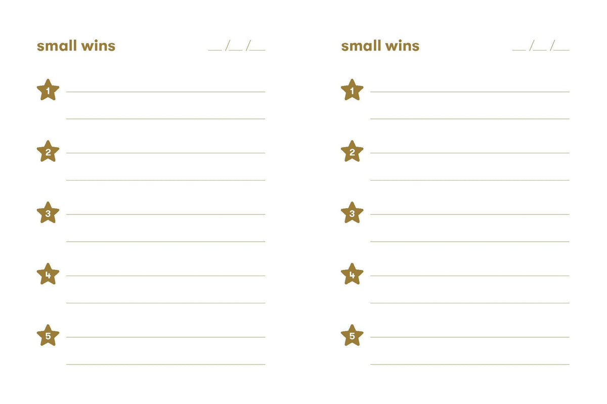 Small Wins Mini Journal