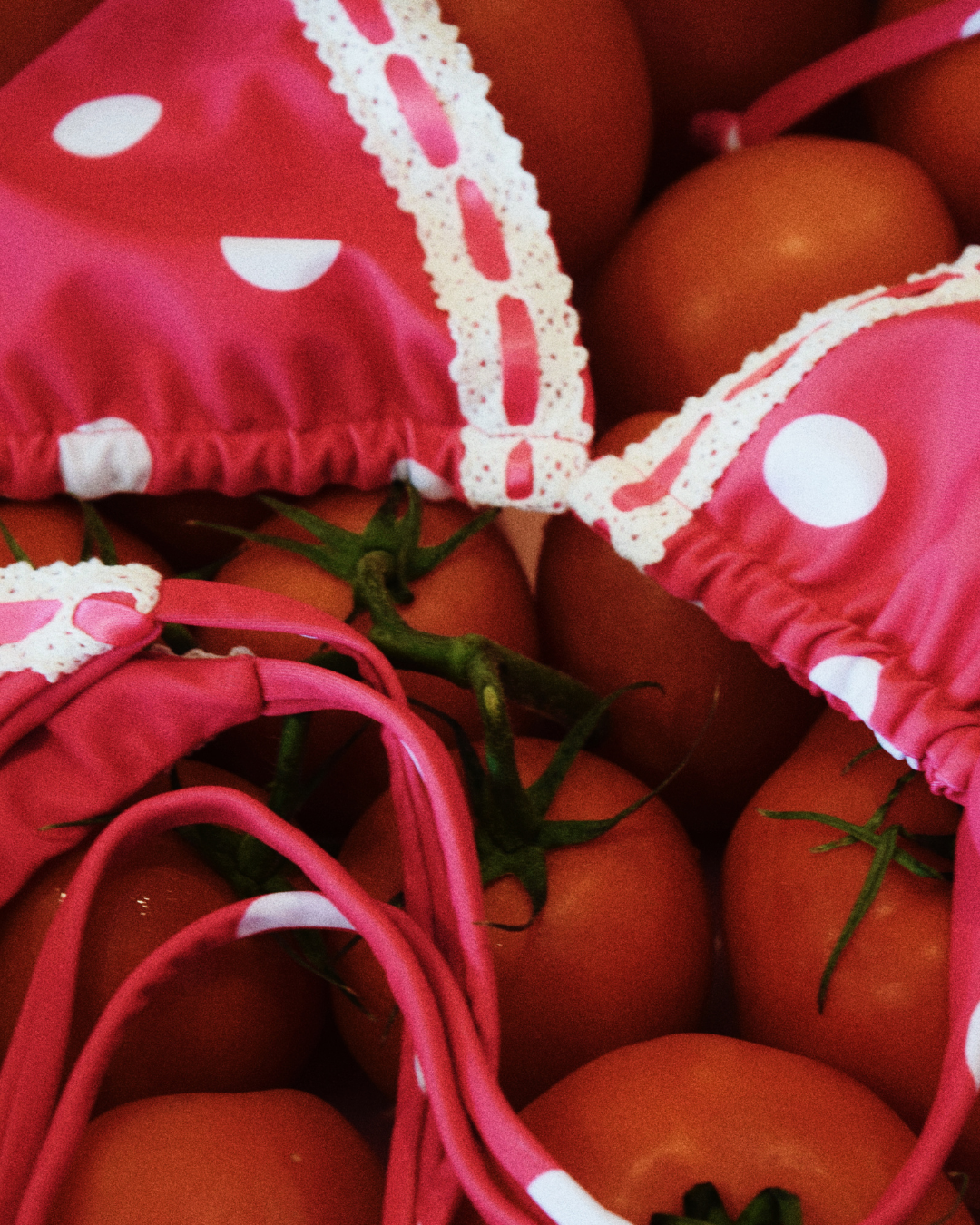 Lucia Triangle Bikini Top