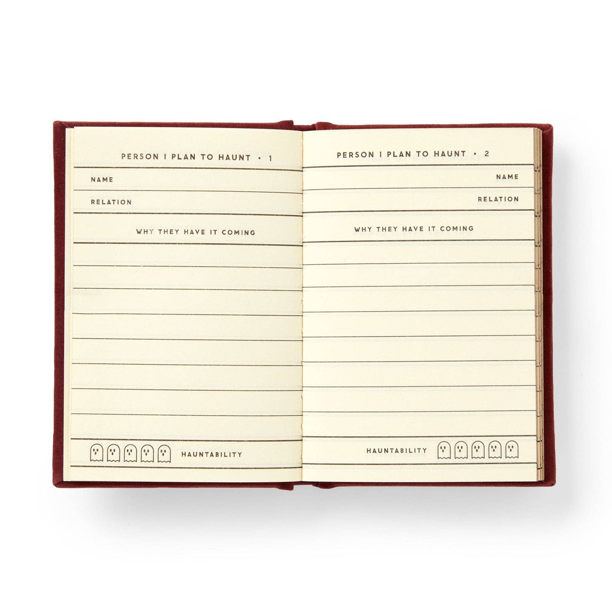 "People I Plan To Haunt" Tiny Diary