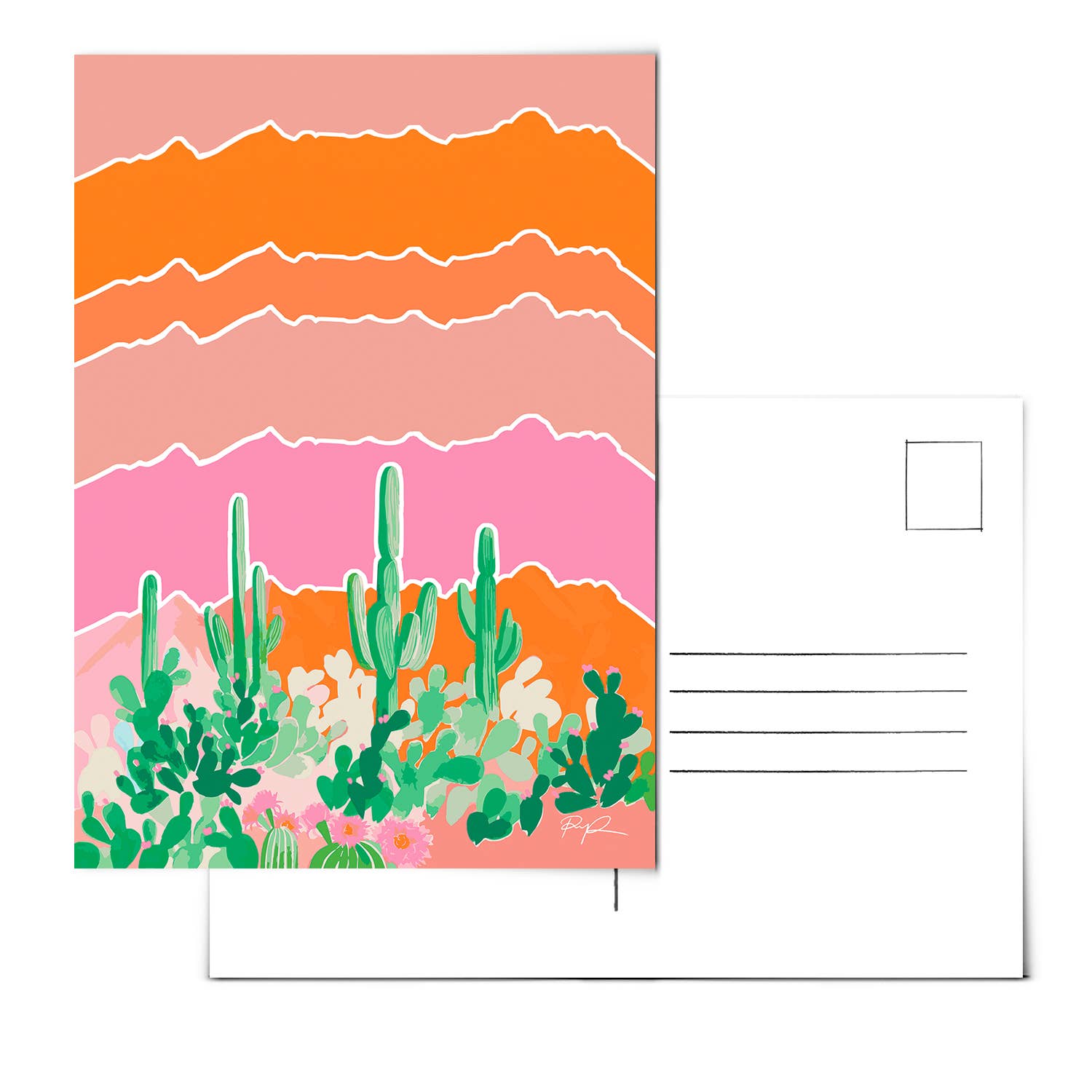 "Sonoran Jungle" Postcard