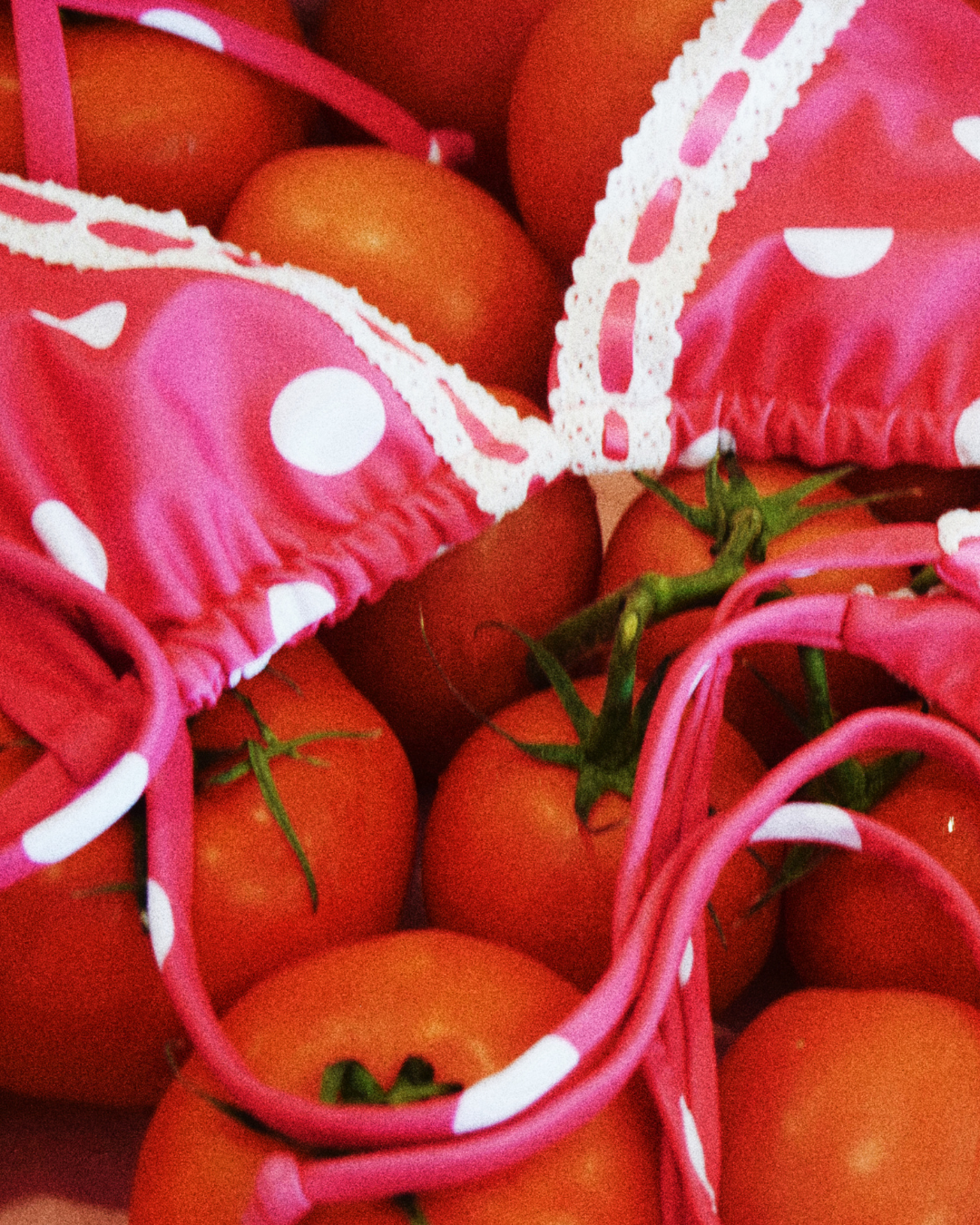 Lucia Triangle Bikini Top