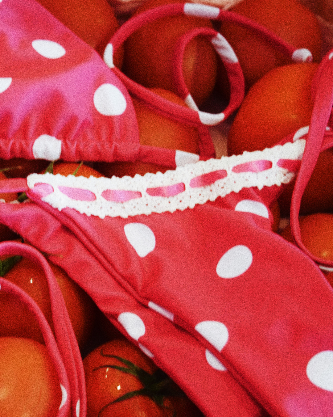 Lucia String Bikini Bottom