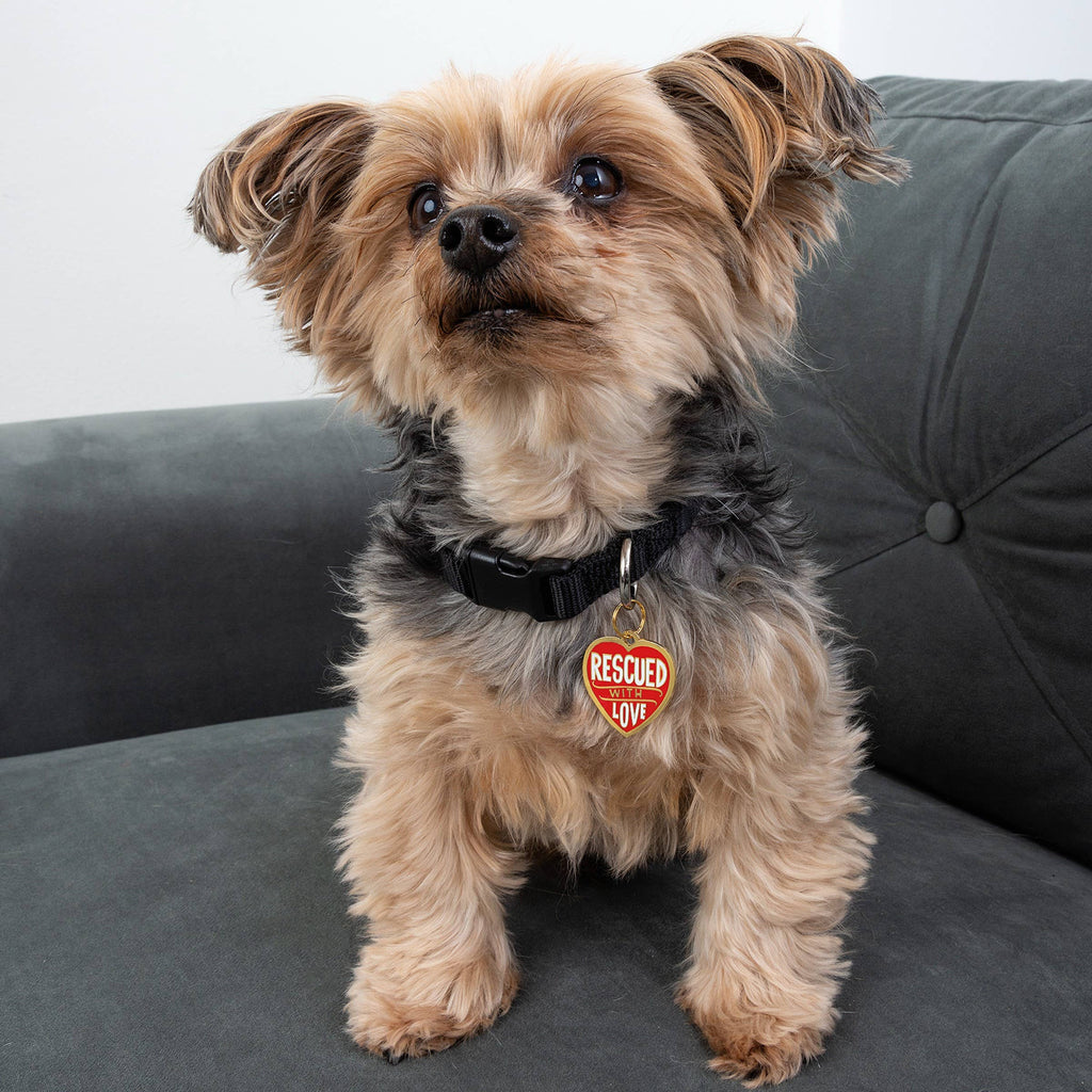 "Rescued With Love" Collar Charm