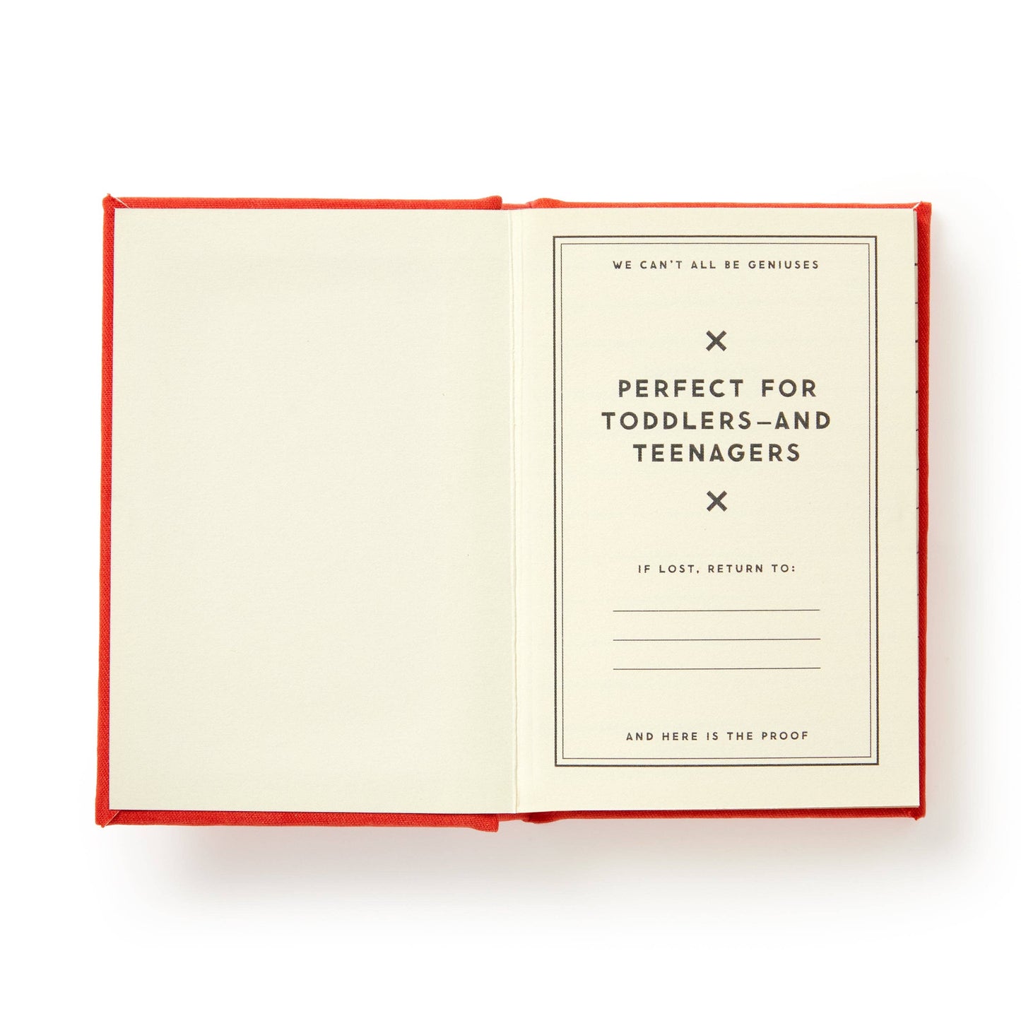 "Dumb Things My Kid Said" Tiny Diary by Brass Monkey
