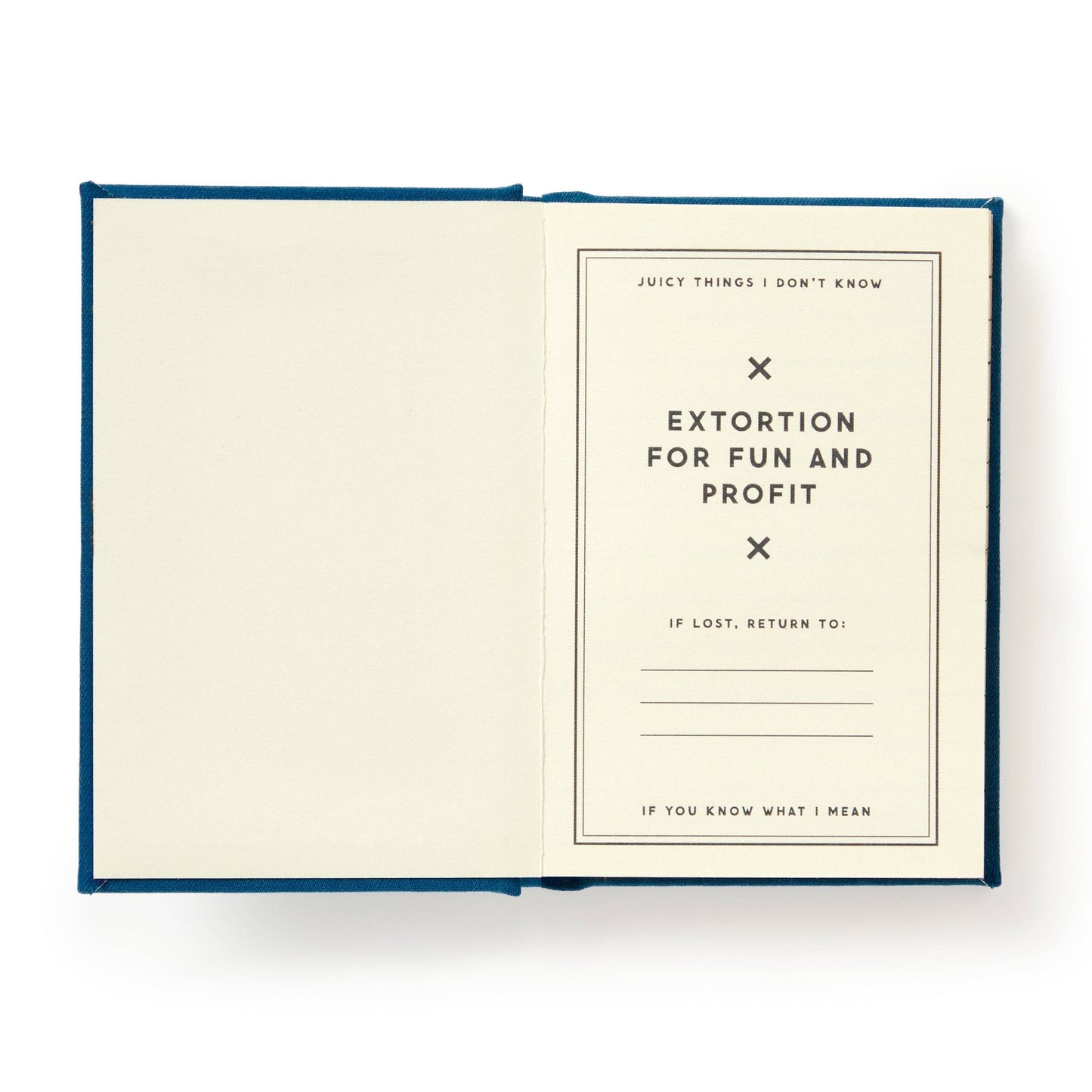 "Future Blackmail" Tiny Diary by Brass Monkey