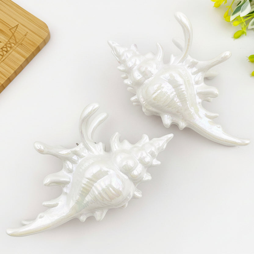 Ocean-Inspired Seashell Hair Claw Clip