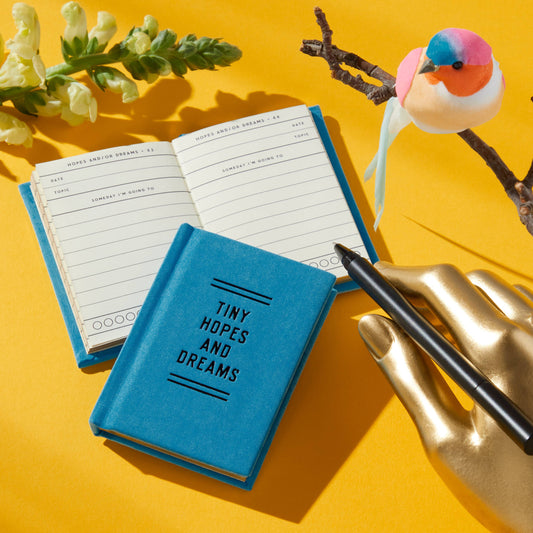 "Tiny Hopes And Dreams" Tiny Diary by Brass Monkey