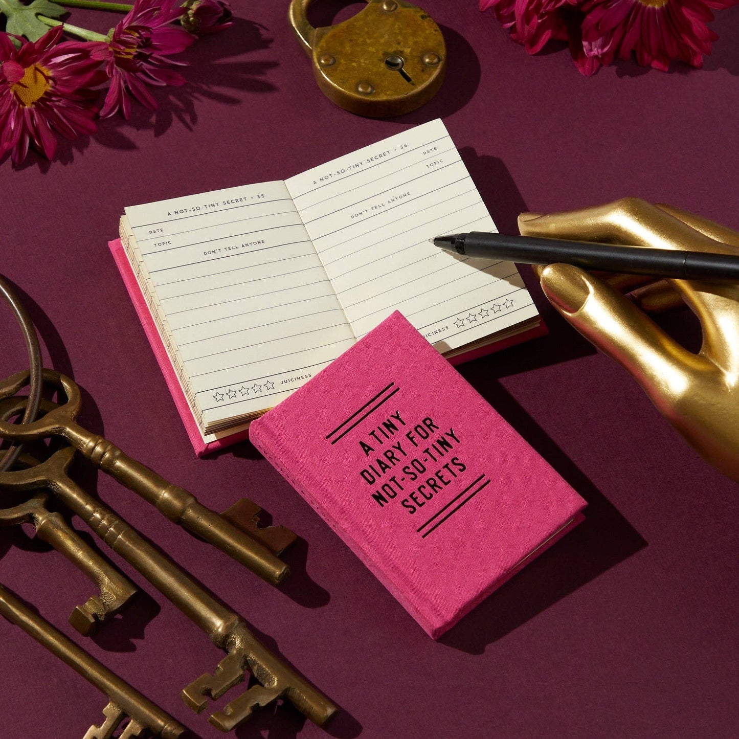 Tiny Diary for Not So Tiny Secrets by Brass Monkey