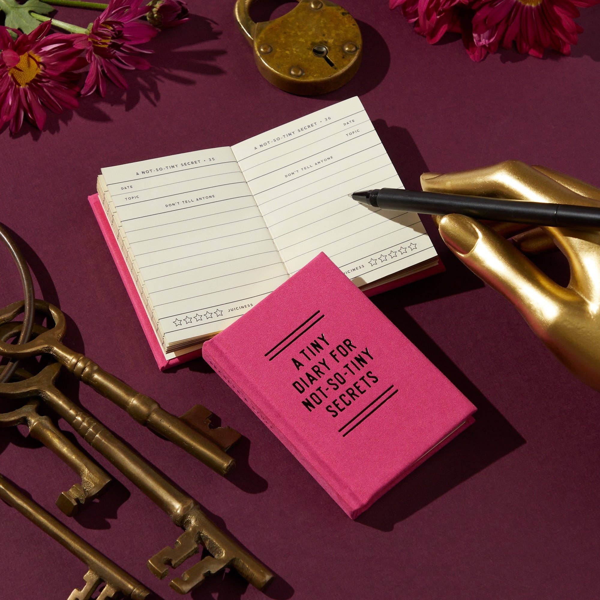 Tiny Diary for Not So Tiny Secrets by Brass Monkey
