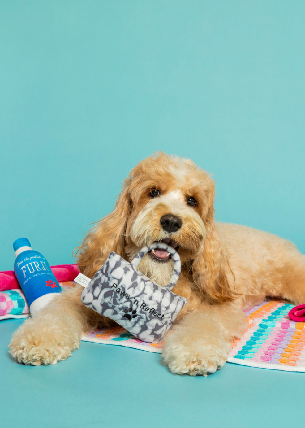 Paw-lo Alo Bag Dog Toy