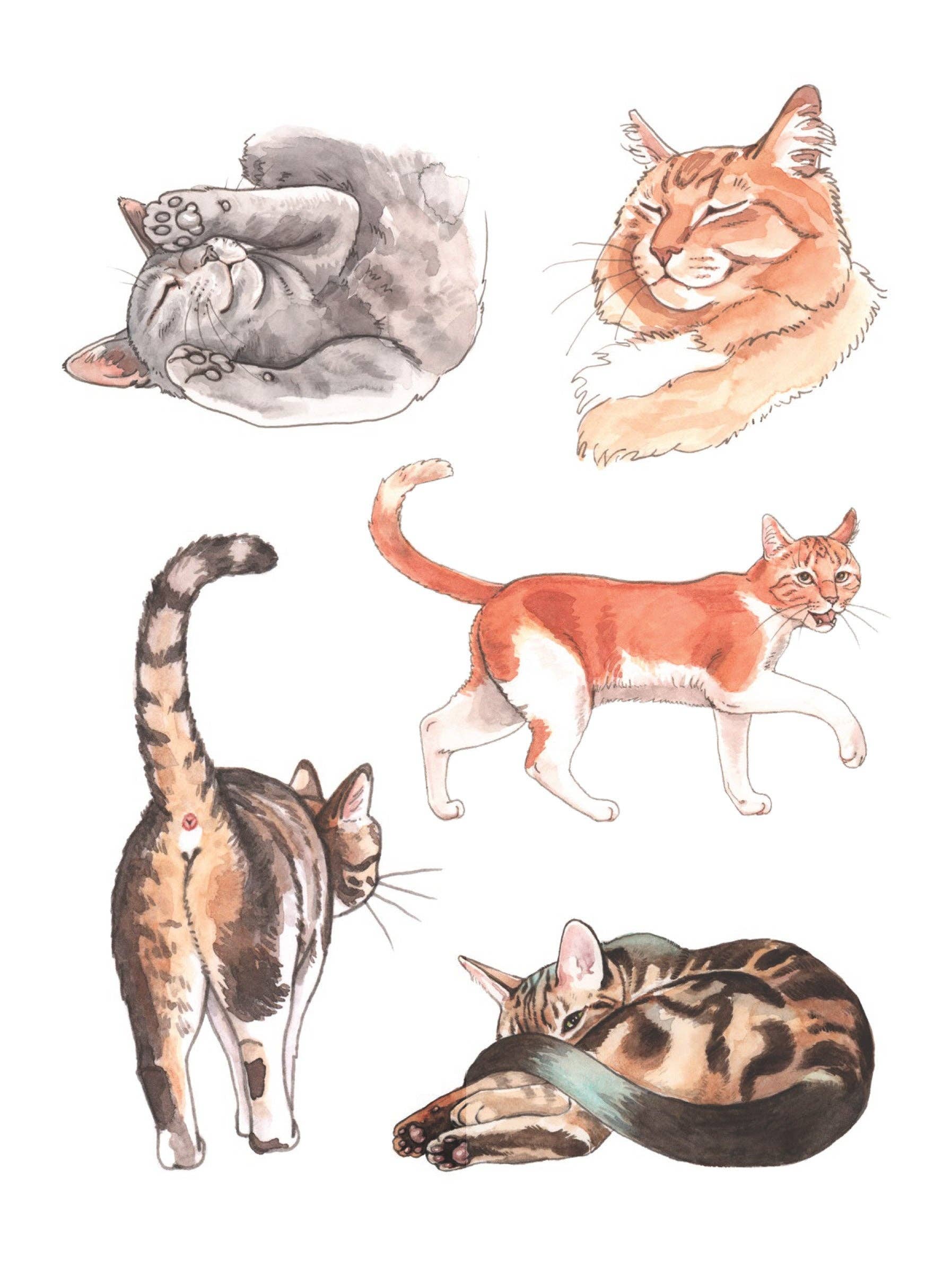 Cat's Meow Sticker Book by Megan Lynn Kott