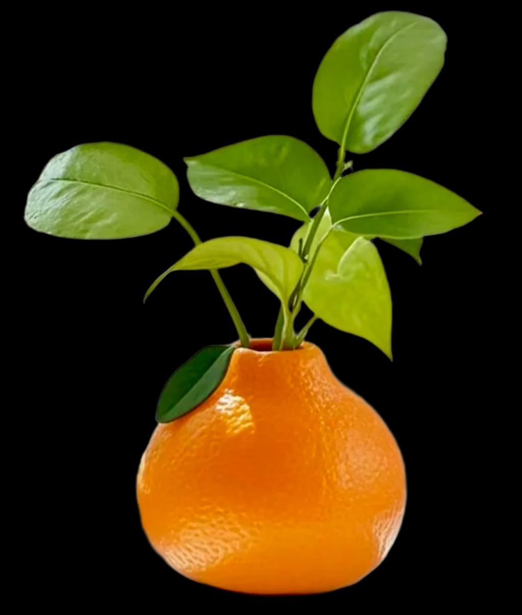 Orange-Shaped Vase