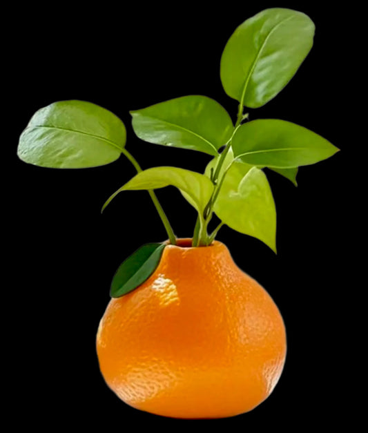 Orange - Shaped Acrylic Vase