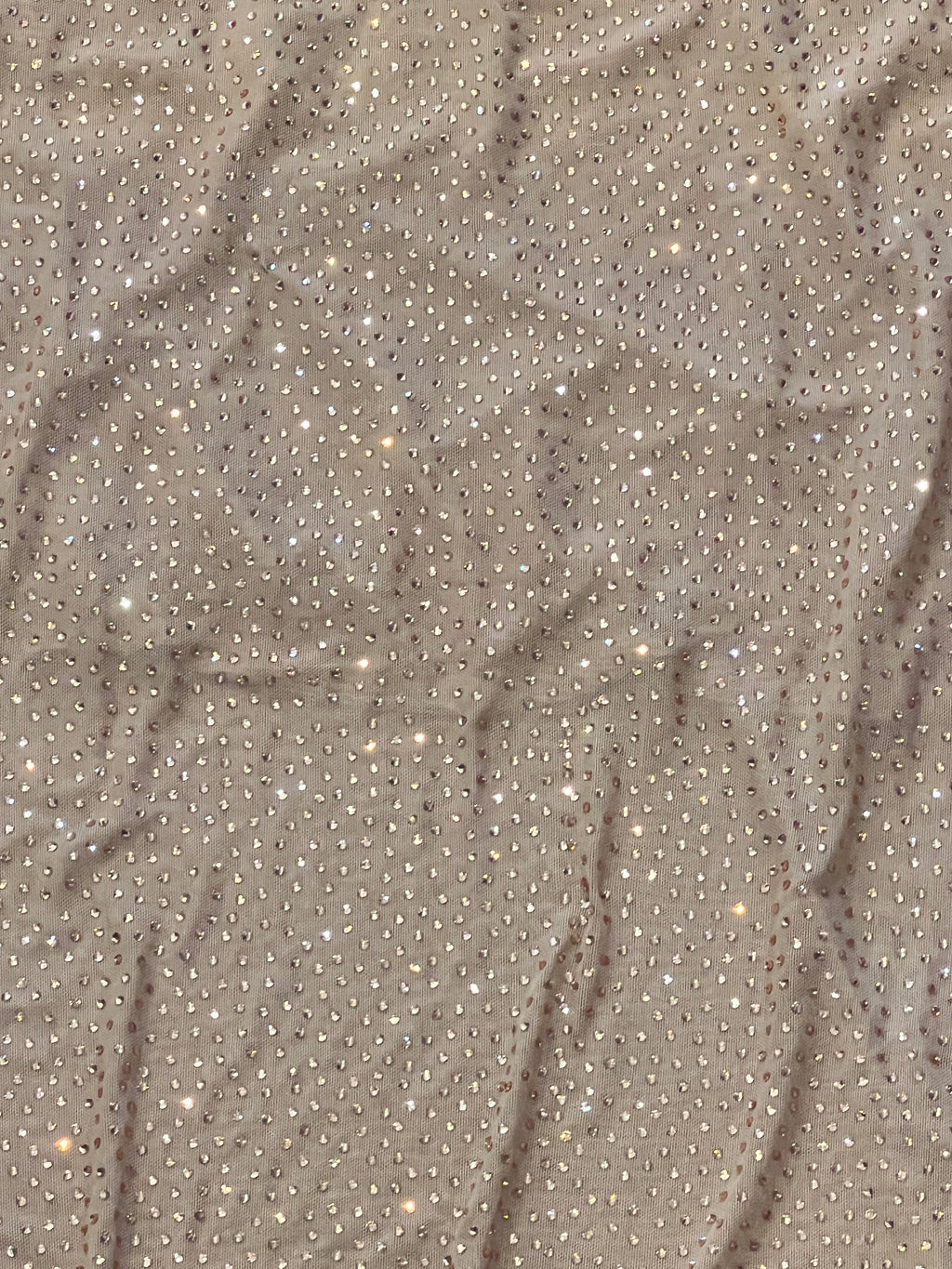 Karen Millen Nude Bedazzled Sheer Maxi Skirt