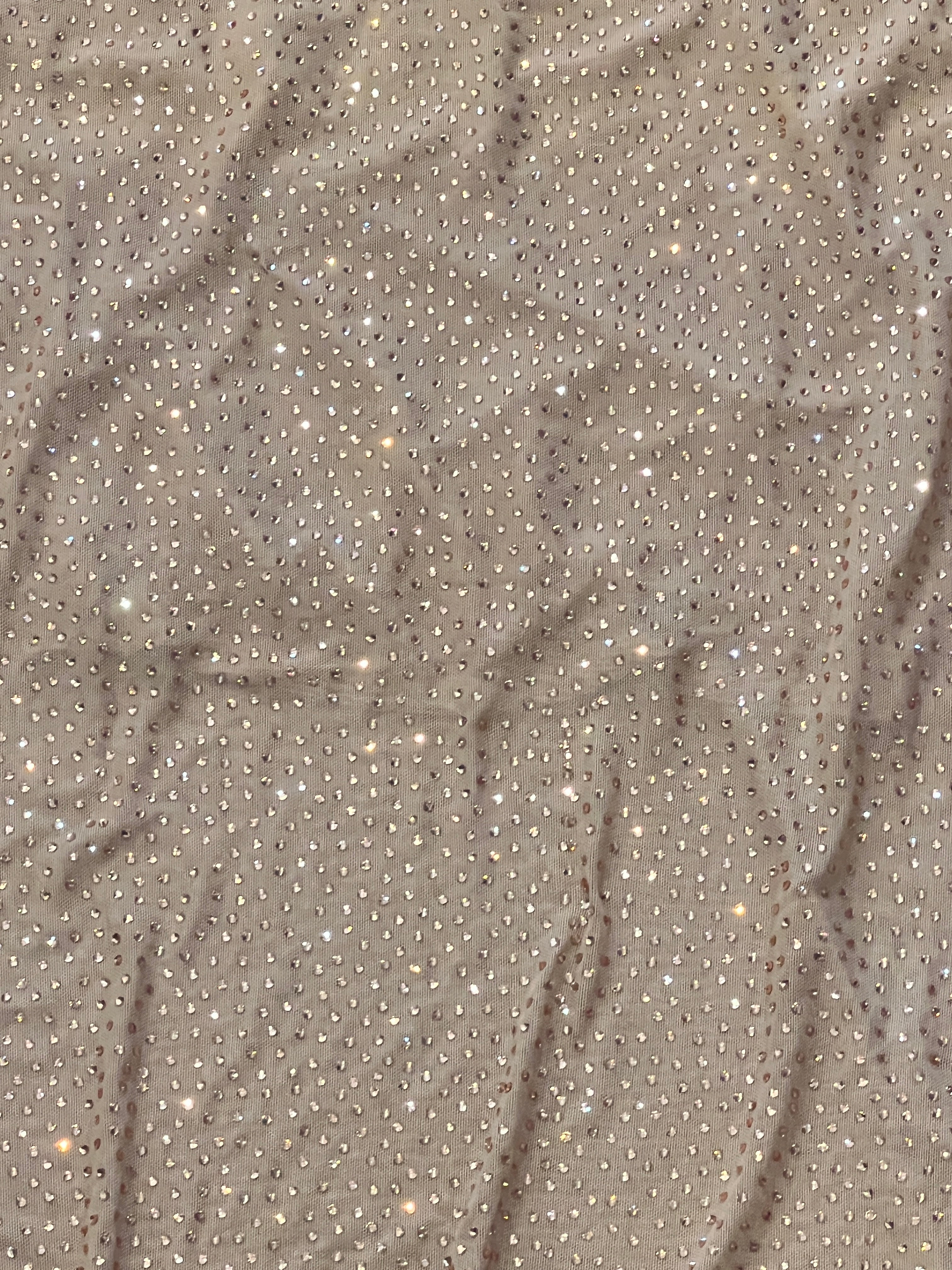 Karen Millen Nude Bedazzled Sheer Maxi Skirt