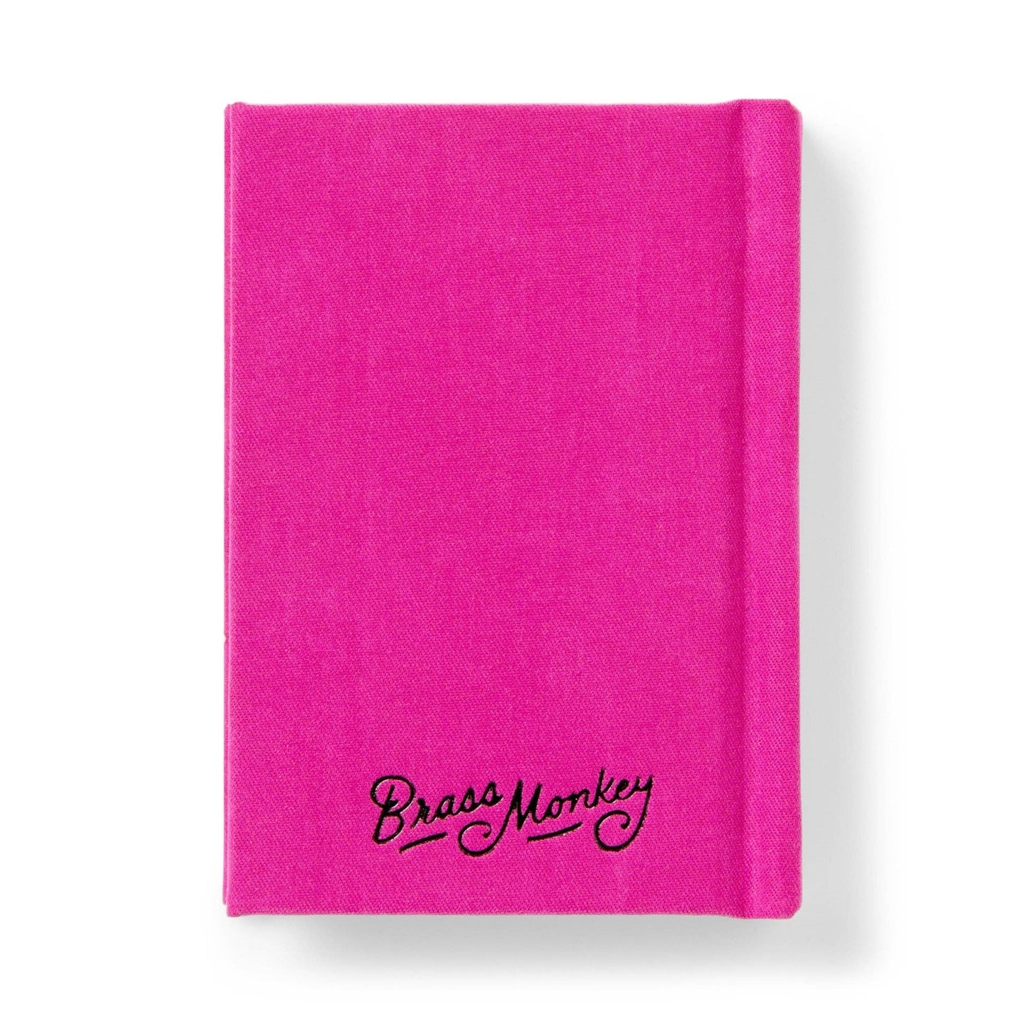 Tiny Diary for Not So Tiny Secrets by Brass Monkey