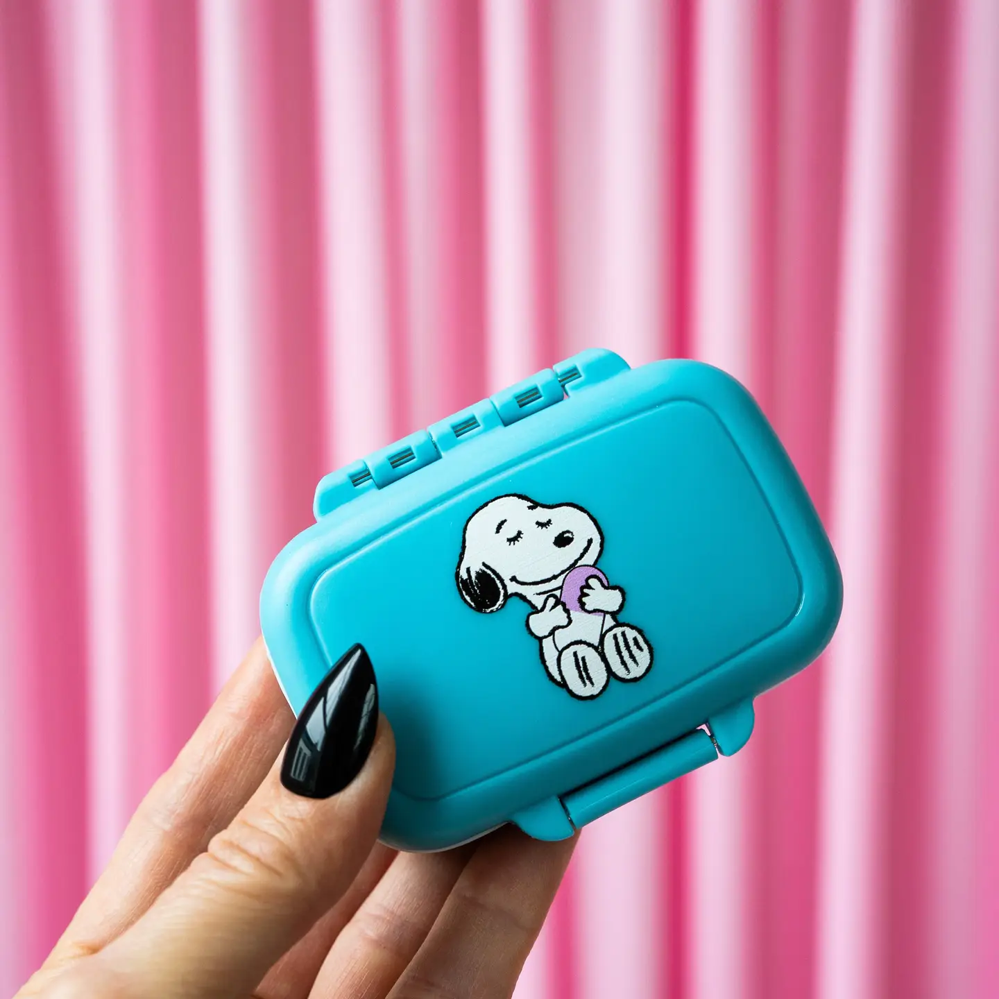 Snoopy Puppy Pill Case