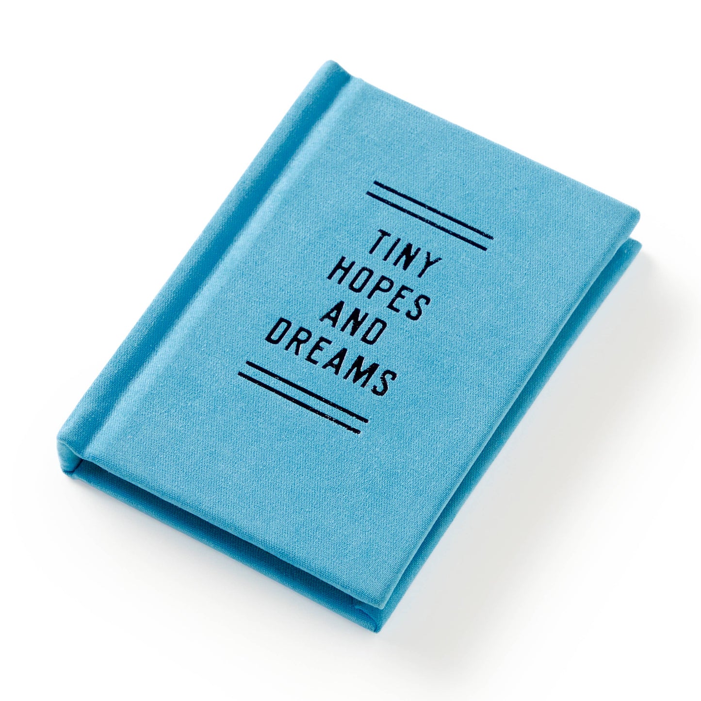 "Tiny Hopes And Dreams" Tiny Diary by Brass Monkey