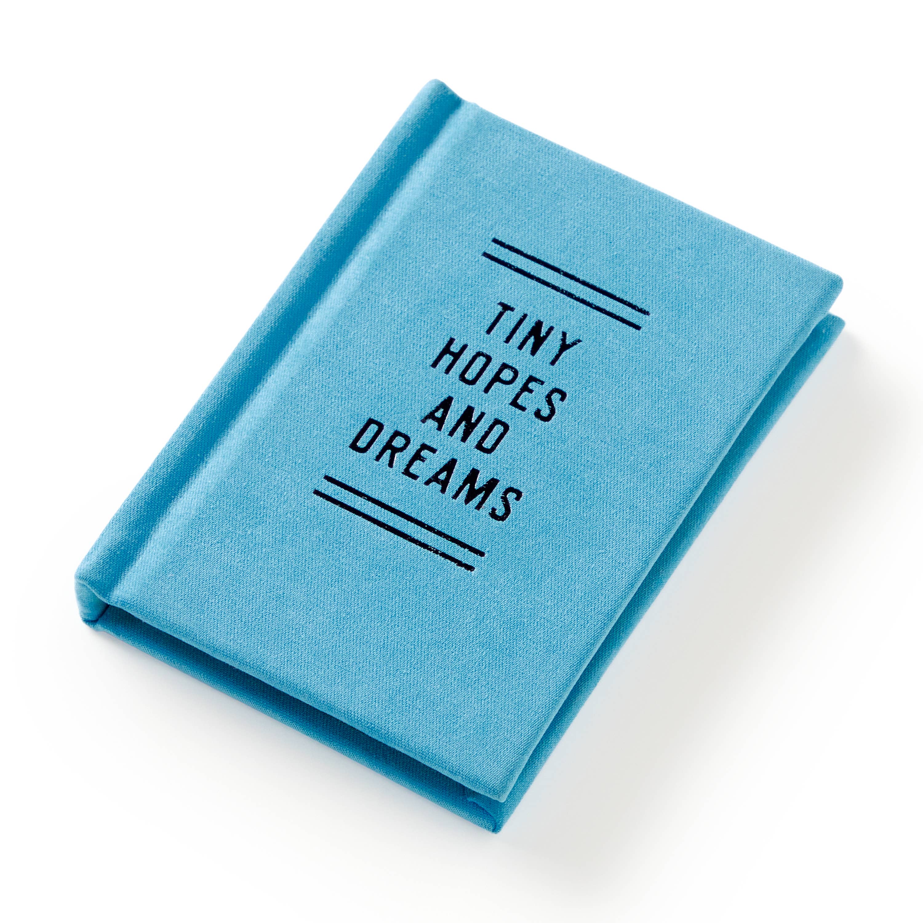 "Tiny Hopes And Dreams" Tiny Diary by Brass Monkey