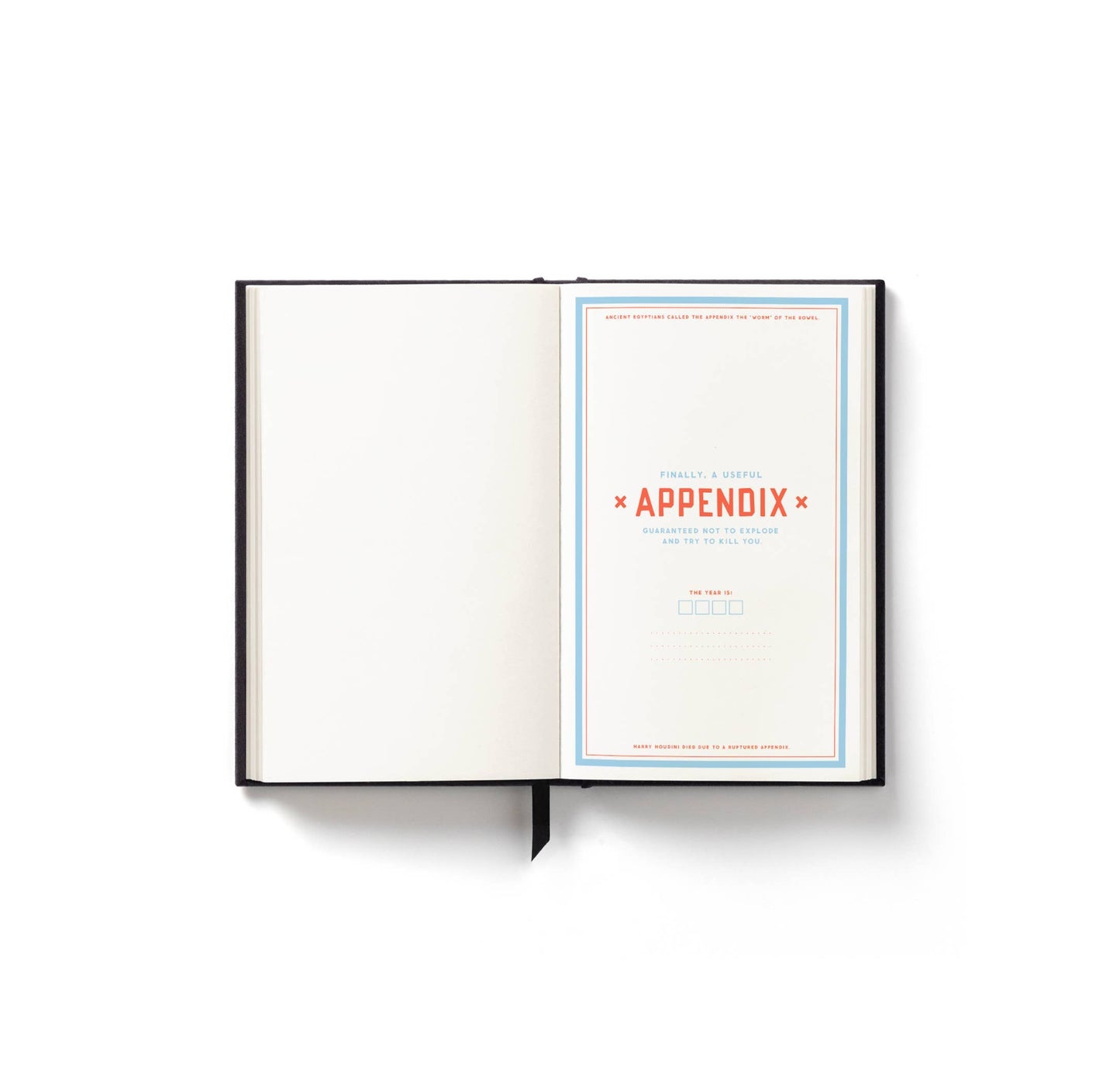 "Hidden Agenda" Undated Mini Planner