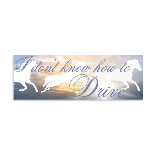"I don't know how to Drive" Whimsical Horse Bumper Sticker