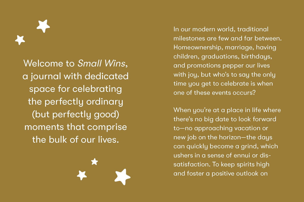 Small Wins Mini Journal