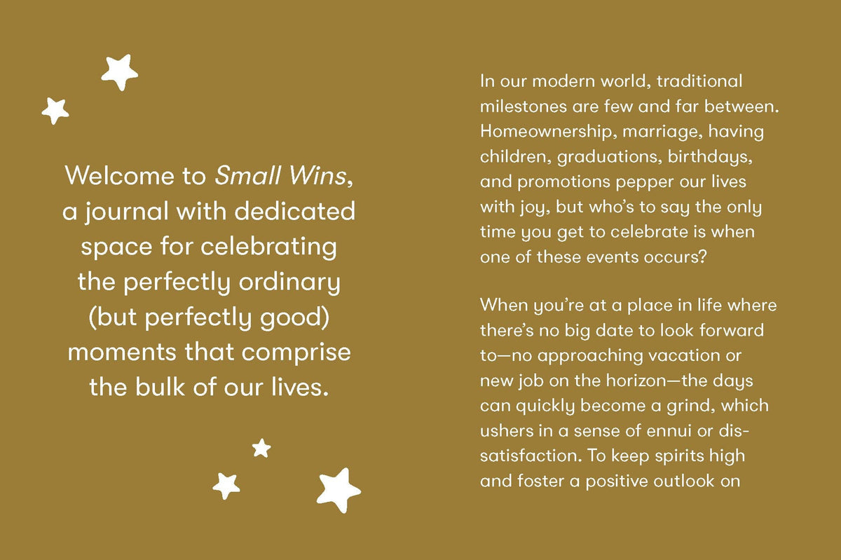 Small Wins Mini Journal