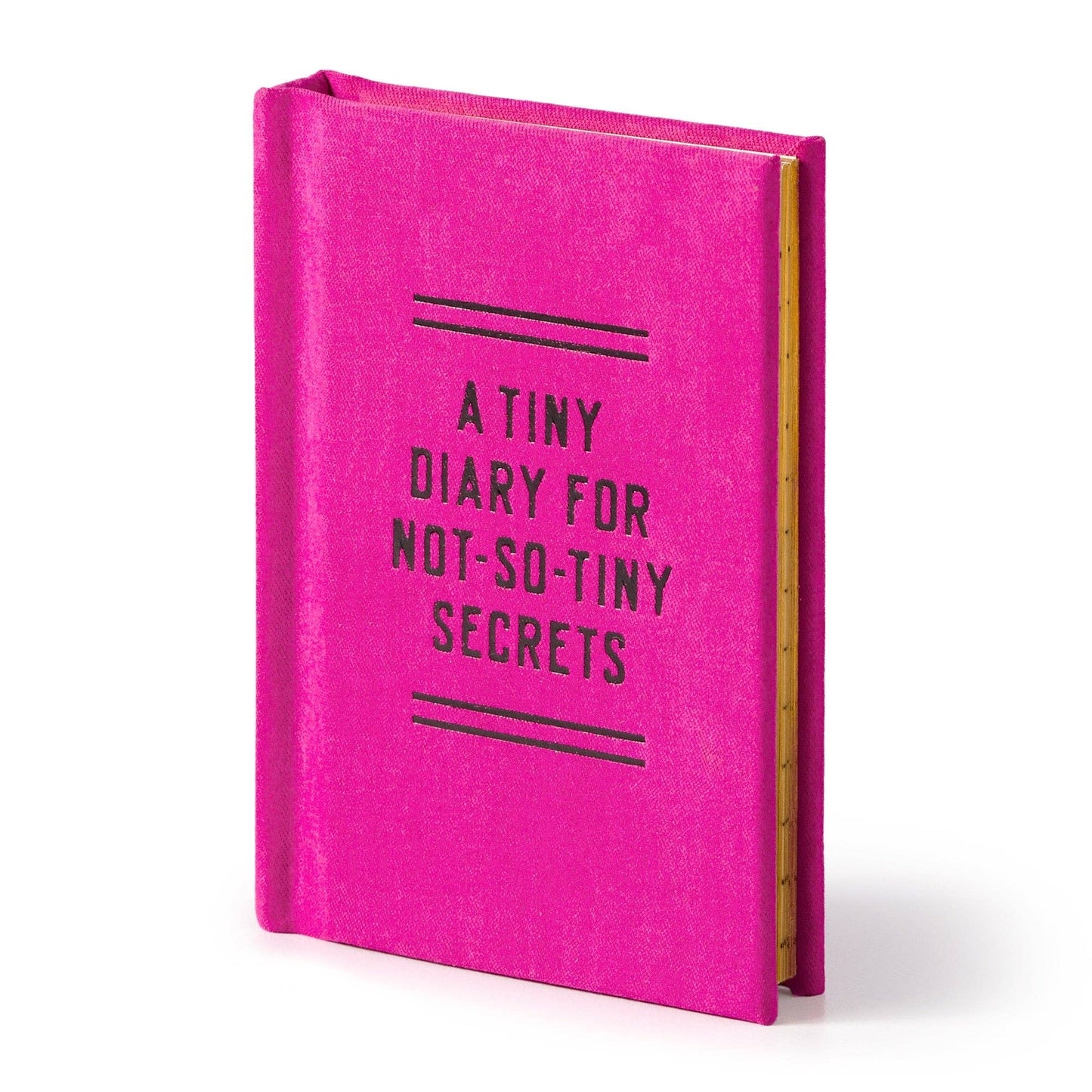 Tiny Diary for Not So Tiny Secrets by Brass Monkey