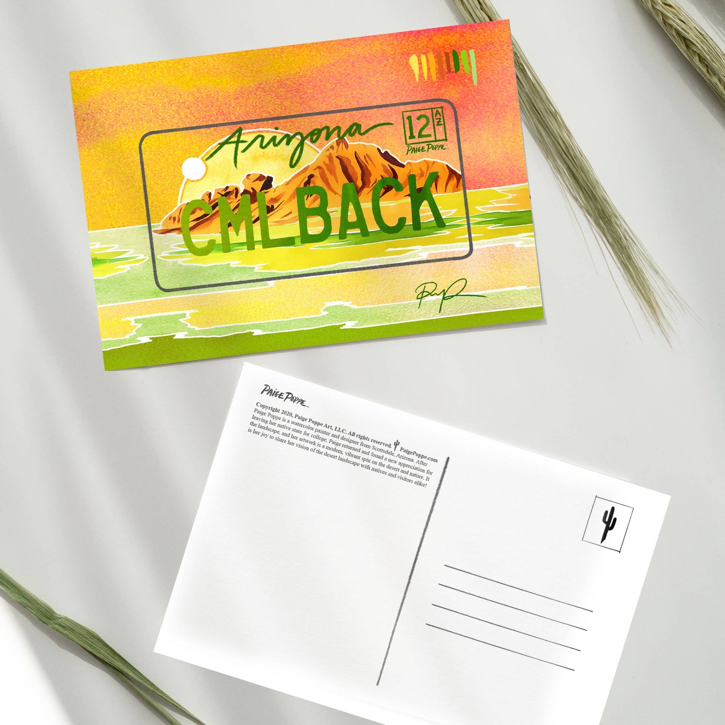 Arizona Desert License Plate Postcard