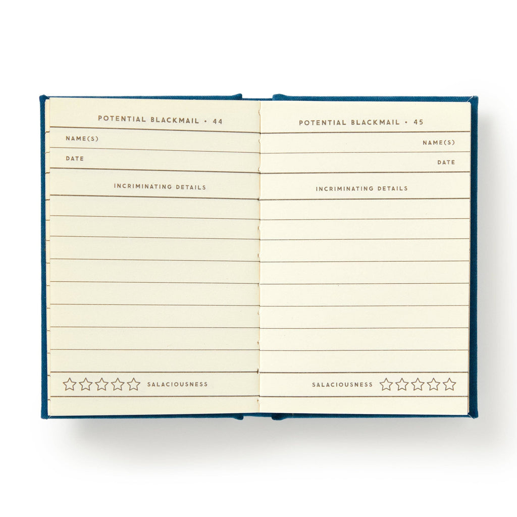 "Future Blackmail" Tiny Diary by Brass Monkey