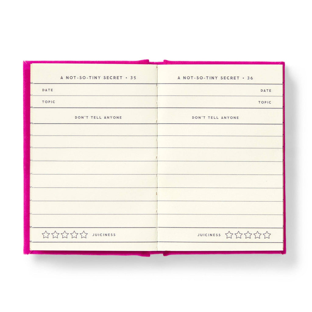 Tiny Diary for Not So Tiny Secrets by Brass Monkey