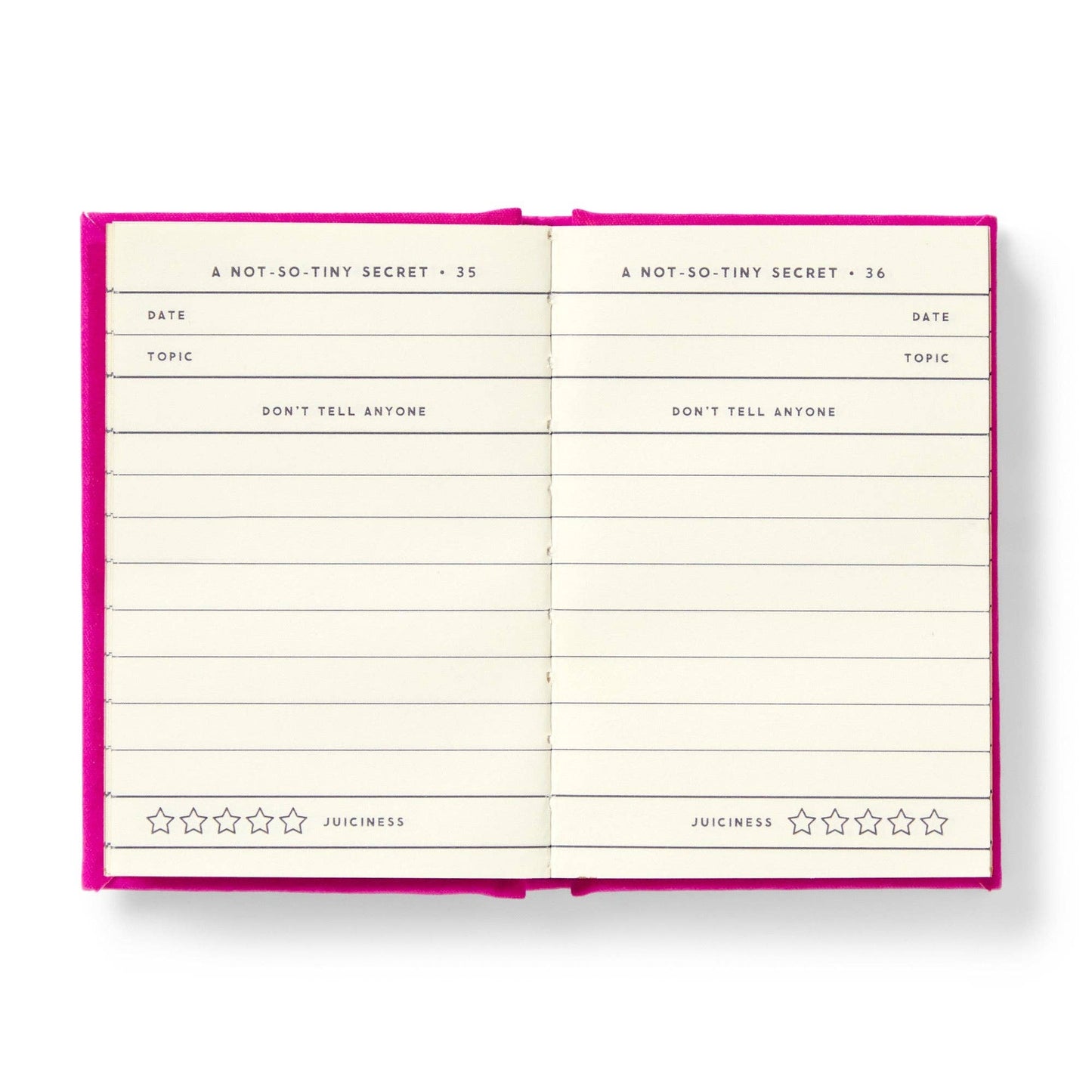 Tiny Diary for Not So Tiny Secrets by Brass Monkey