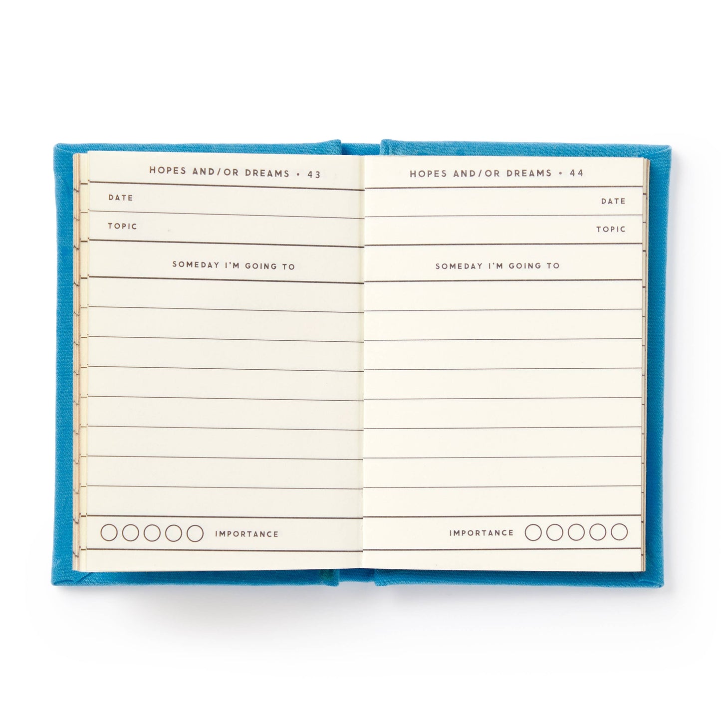 "Tiny Hopes And Dreams" Tiny Diary by Brass Monkey