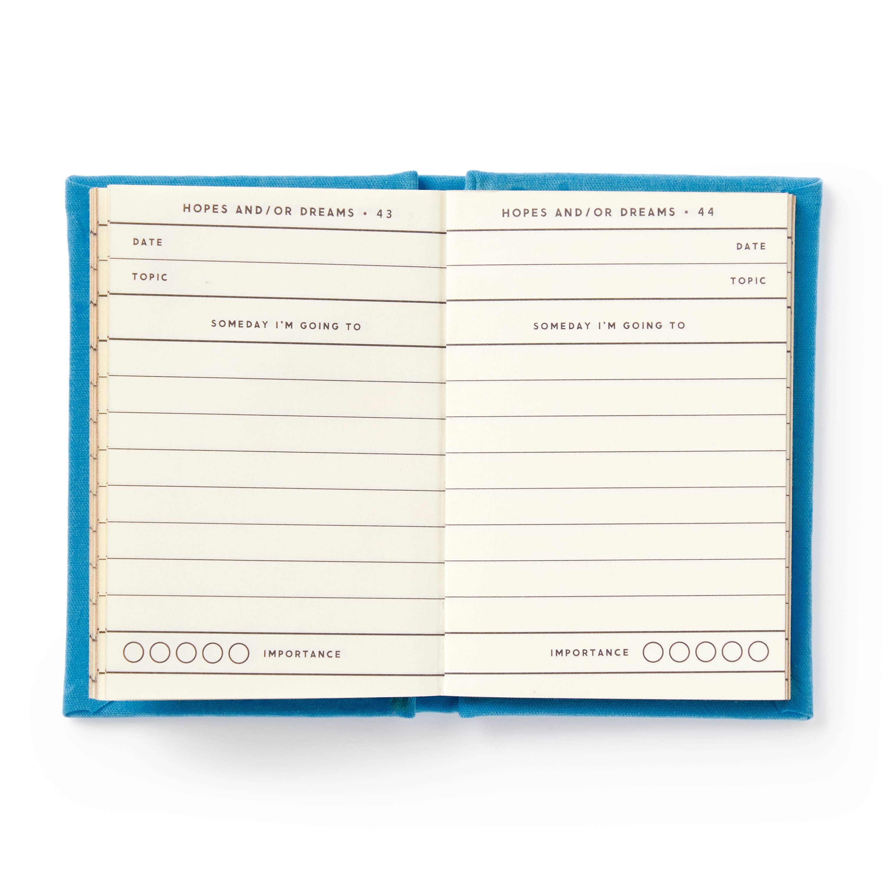 "Tiny Hopes And Dreams" Tiny Diary by Brass Monkey