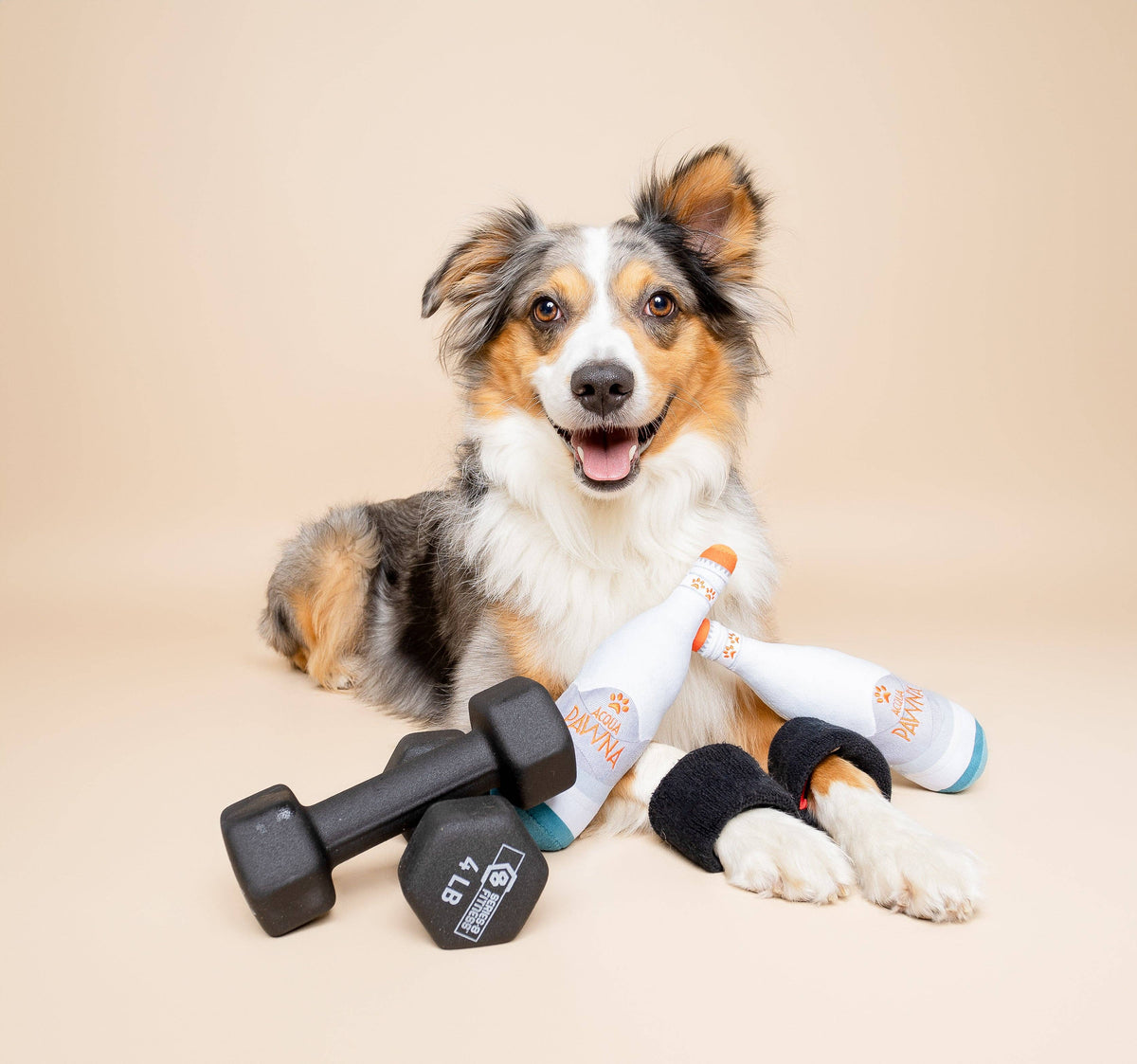 Acqua Pawna Dog Toy