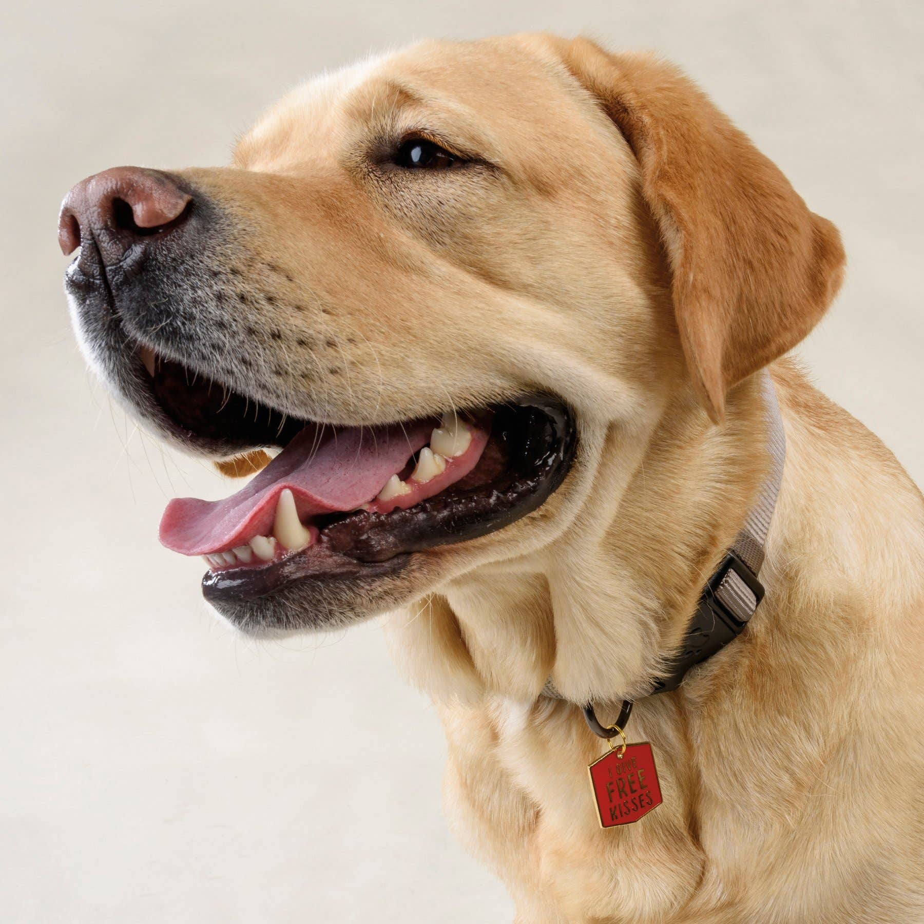 "I Give Free Kisses" Collar Charm