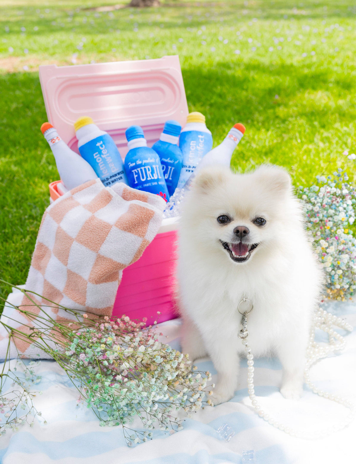 Acqua Pawna Dog Toy