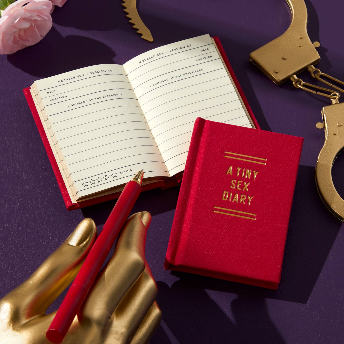 A Tiny Sex Diary by Brass Monkey